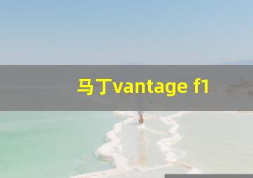 马丁vantage f1